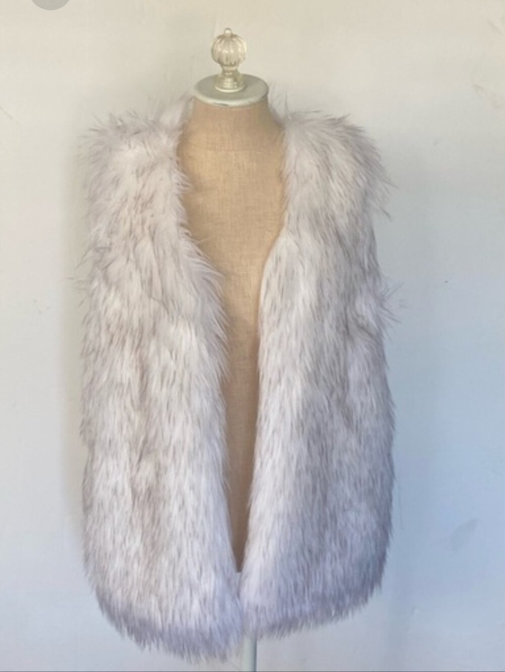 Rachel Parcell Faux Fur Vest